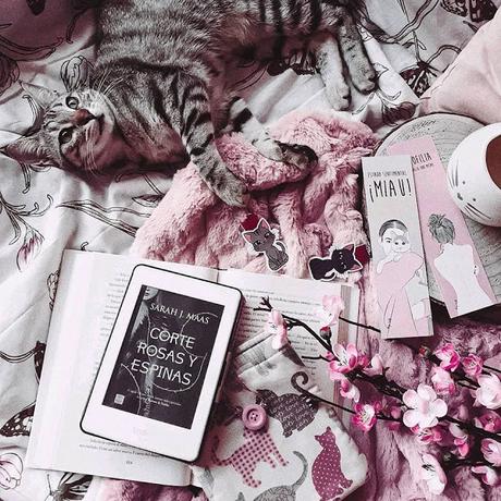 Leo y comparto: 'Desde mi cielo' y 'Una corte de rosas y espinas' Leo y comparto: 'Desde mi cielo' y 'Una corte de rosas y espinas'