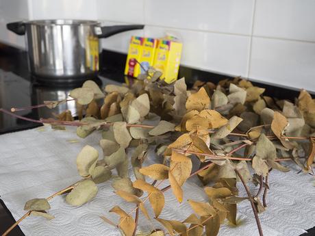 Aprender a teñir a mano manteles, camisetas, banderolas o flores secas