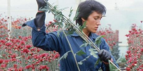 28ª Mostra de Films de Dones (Parte 3): El cine de Marta Rodríguez 28ª Mostra de Films de Dones (Parte 3): El cine de Marta Rodríguez