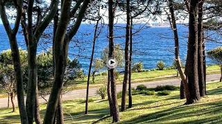 4.227 - FRAGMENTO DE UN DIARIO - DÍA 11