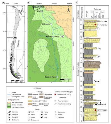 El primer mamífero del Mesozoico de Chile