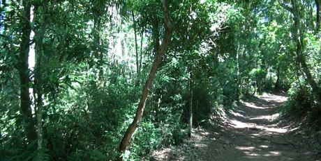 Las razones para visitar el Parque Nacional del Iguazú.