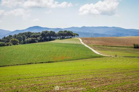 Gallecs, un mosaico de paisajes en medio de un mar de asfalto y hormigón