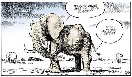 [SONRÍA, POR FAVOR] Es jueves, 11 de junio