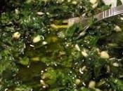 Origen chimichurri...