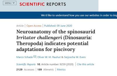 La caja cerebral de Irritator