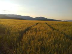 Atardeceres en Puebla de Valles Atardeceres en Puebla de Valles