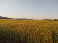 Atardeceres en Puebla de Valles Atardeceres en Puebla de Valles