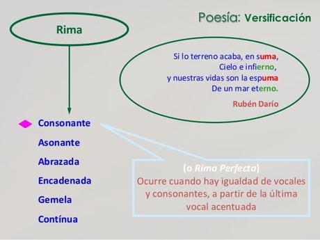 ¿Qué es la métrica y para qué nos sirve?