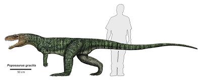 ¿Cocodrilos bípedos durante el Cretácico de Corea?