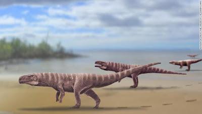 ¿Cocodrilos bípedos durante el Cretácico de Corea?