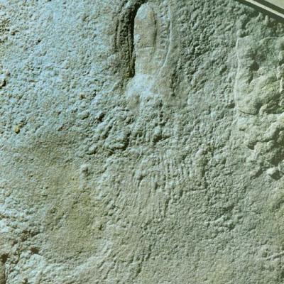 ¿Cocodrilos bípedos durante el Cretácico de Corea?