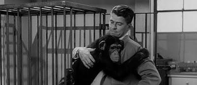 HORA DE DORMIR, BONZO (HORA DE ACOSTARSE PARA BONZO) (Bedtime for Bonzo) (USA, 1951) Comedia