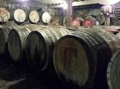 blancos solera montañeses