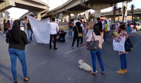 Animalistas se manifiestan por Reglamento de Bienestar Animal «deficiente»