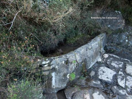 Villamer-Valle Canales-Caneo-Llosoriu-Pozu l.lobos los Caleyinos-Valle la Raíz