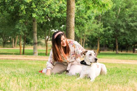Dog days are not over Dog days are not over