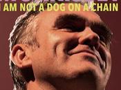 [Disco] Morrissey Chain (2020)