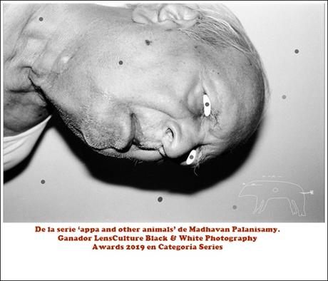 Appa y otros animales