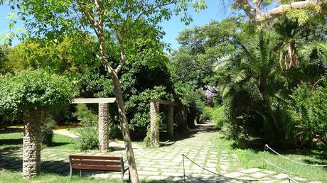 Ruta al Jardín de Aclimatación | Montaña de Montjuïc Ruta al Jardín de Aclimatación | Montaña de Montjuïc