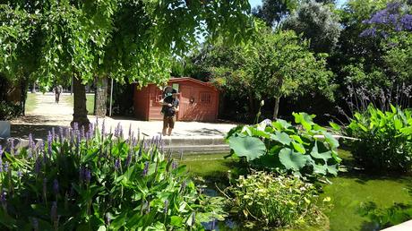 Ruta al Jardín de Aclimatación | Montaña de Montjuïc Ruta al Jardín de Aclimatación | Montaña de Montjuïc