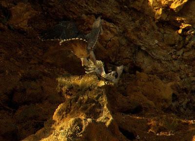 SIN MIEDO A LAS ALTURAS