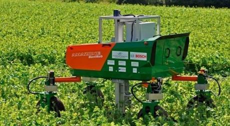 Inteligencia Artificial en la Economía circular: robot en la agricultura