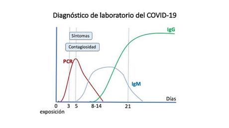 COMO INTERPRETAR LAS PRUEBAS EN LA INFECCIÓN COVID-19 COMO INTERPRETAR LAS PRUEBAS EN LA INFECCIÓN COVID-19
