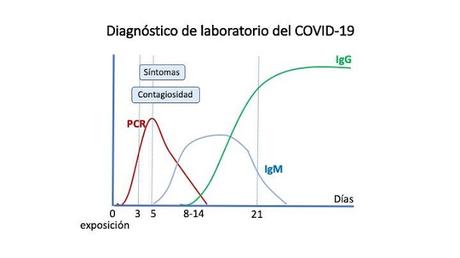 COMO INTERPRETAR LAS PRUEBAS EN LA INFECCIÓN COVID-19