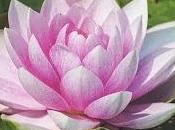 Previsión ante otoño para contener Covid19 (innovación)