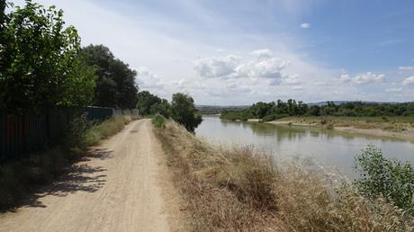 Excursión al Galacho de la Alfranca en familia, y ¡en bicicleta!