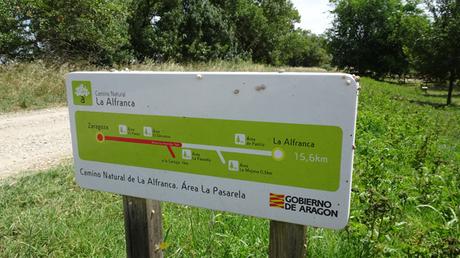 Excursión al Galacho de la Alfranca en familia, y ¡en bicicleta!