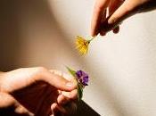 Claridad estrena Verano