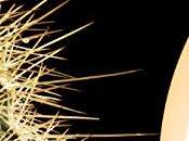 mundo locos Juanegro Literario ...gratis para kindle