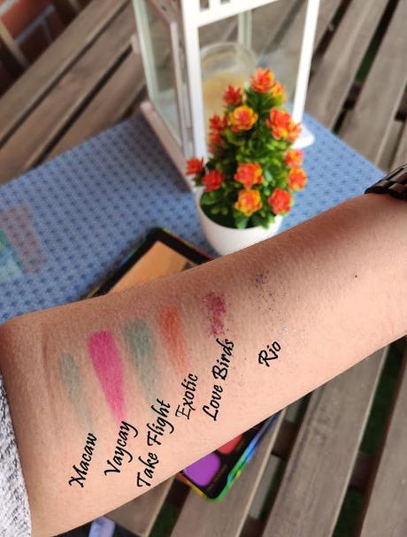 Birds of Paradise // Bien de color para este verano Birds of Paradise // Bien de color para este verano