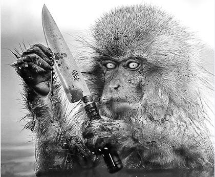 Monos con Navajas - Noventa / Noventa y Cinco (2003)