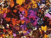 Coral More than lover (2010)