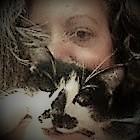 Los Litegatos (I)