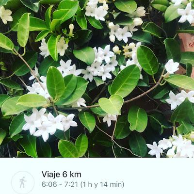 De compras, Descuentos y Códigos entre otras cosas!!