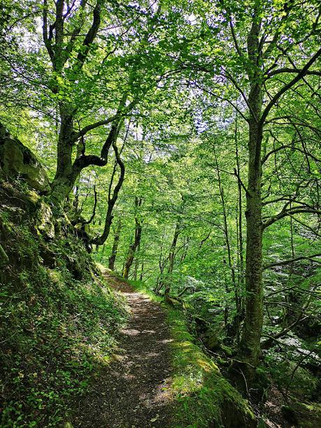 Cabeza de Arco desde Caleao