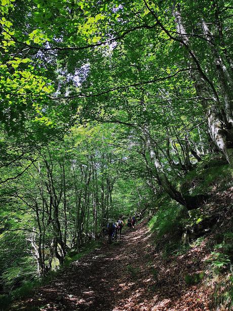 Cabeza de Arco desde Caleao