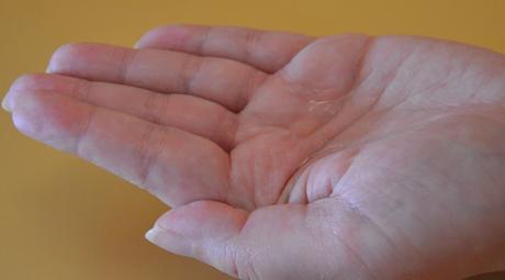 Un verano extraordinario con ELVIVE