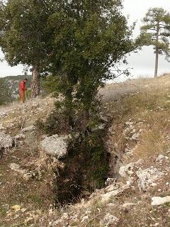El carábido endémico de cuevas de la Sierra de Cazorla El carábido endémico de cuevas de la Sierra de Cazorla
