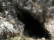 carábido endémico cuevas Sierra Cazorla