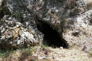 El carábido endémico de cuevas de la Sierra de Cazorla