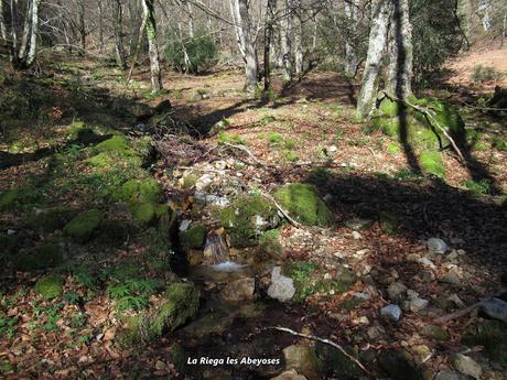 Por el monte Llaímu: Penoba-Felgueru-L´Árbol-Refierros-La Verdasca-Valsemana