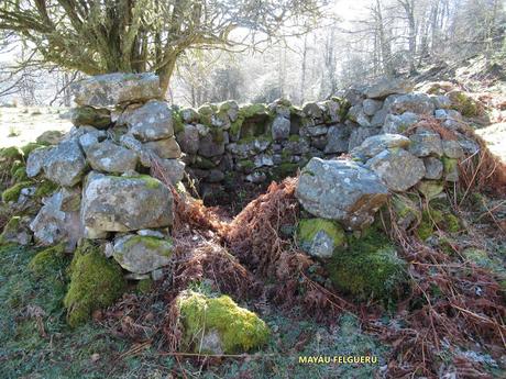 Por el monte Llaímu: Penoba-Felgueru-L´Árbol-Refierros-La Verdasca-Valsemana