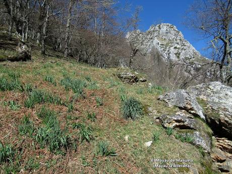 Por el monte Llaímu: Penoba-Felgueru-L´Árbol-Refierros-La Verdasca-Valsemana