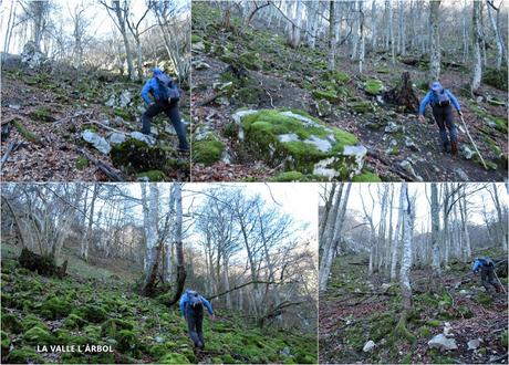 Por el monte Llaímu: Penoba-Felgueru-L´Árbol-Refierros-La Verdasca-Valsemana