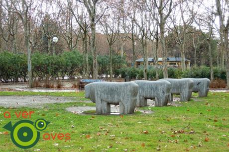 El valor de los pequeños parques y jardines